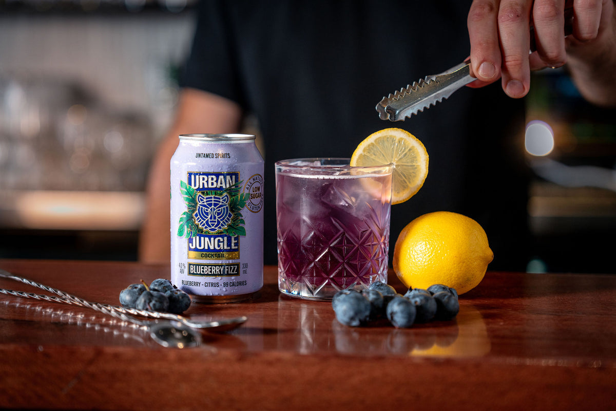 Blueberry Fizz Cocktail