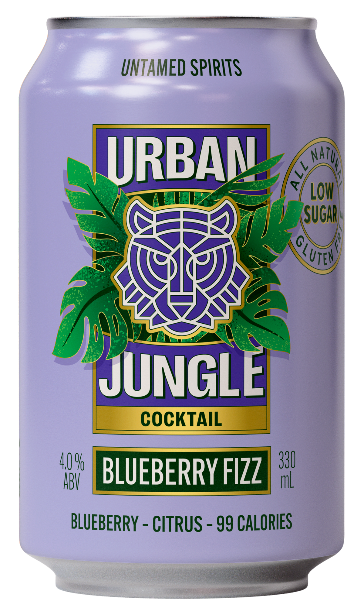 Blueberry Fizz Cocktail
